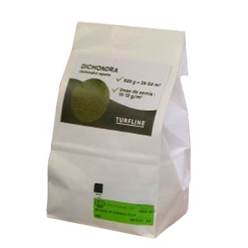 Dichondra repens TURFLINE em sementes