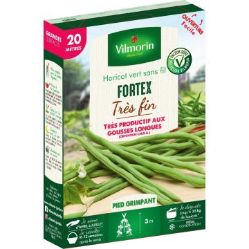 Feijão trepador mangetout Fortex Vilmorin