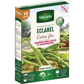 Feijão-verde anão Eclarel Vilmorin