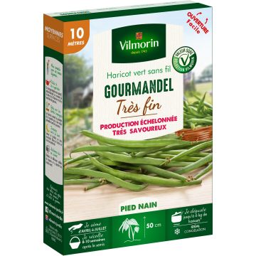Feijão-verde anão Gourmandel Vilmorin