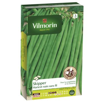 Feijão-de-vagem anão Skipper com fio Vilmorin