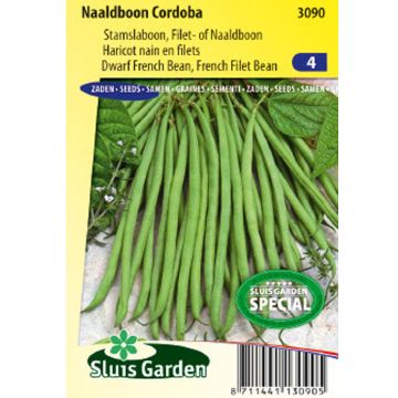 Feijão-verde anão Cordoba