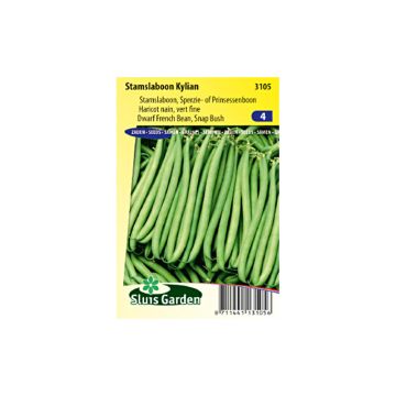 Feijão-verde anão Kylian