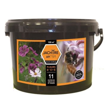 Pousio melífero — flores de verão