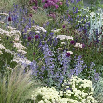 Jardim naturalista seco para 2m²