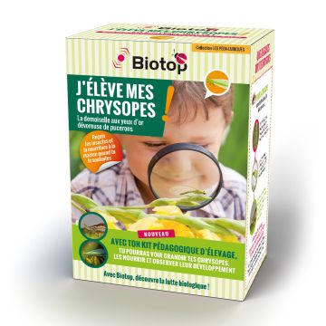 Kit pedagógico de criação de crisopas Biotop Kit pedagógico de criação de crisopas Biotop