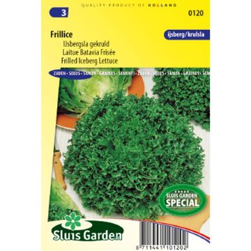 Alface batavia frisada Frillice