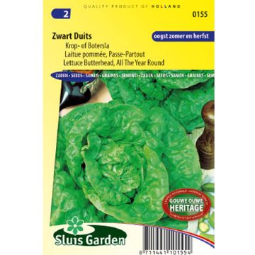 Alface repolhuda Passe-Partout