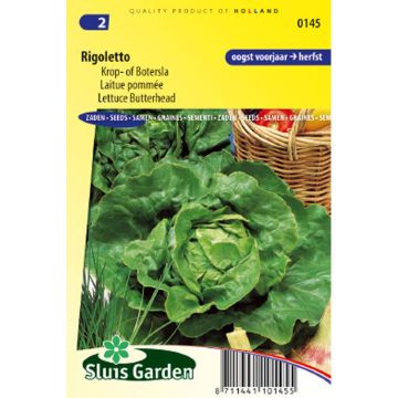 Alface-repolhuda Rigoletto