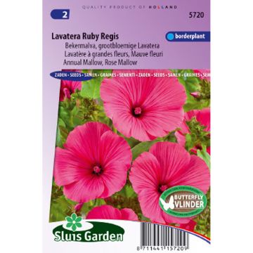 Malva rosa Ruby Regis em sementes