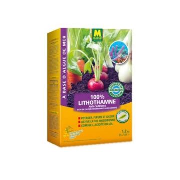 <i>Lithothamne</i> Maerl Alga marinha UAB - Masso <i>Lithothamne</i> Maerl Alga marinha UAB - Masso