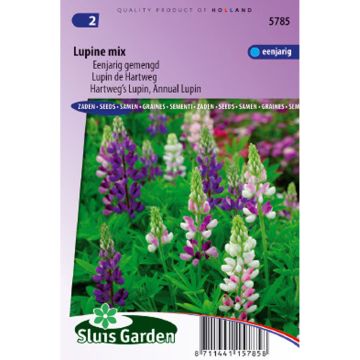 Lupinus hartwegii em sementes