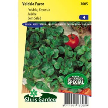 Canónigos Favor - Alface-da terra