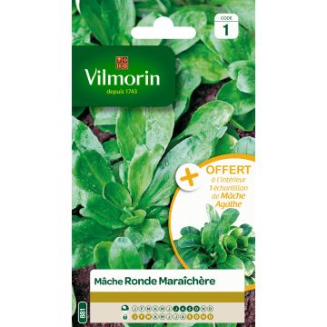 Canónigos Redonda de hortelão + amostra Agathe Vilmorin