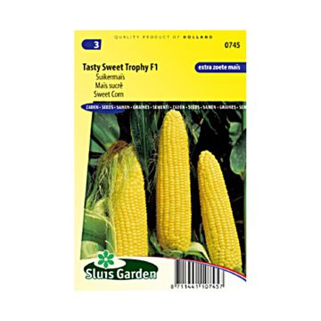 Milho-doce Tasty Sweet Trophy F1 - Zea mays