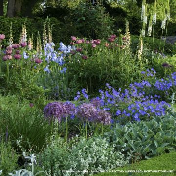 Macisso de bordadura mista para 3m²