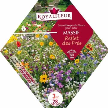 Mistura para canteiro "Reflexo dos Prados" - Saqueta 3 m²