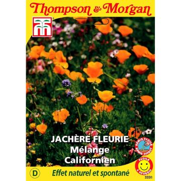 Sementes de flores silvestres - Mistura da Califórnia