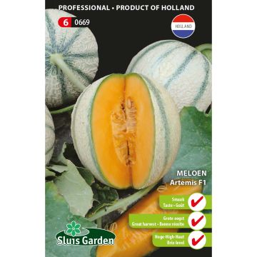 Melão Artemis F1