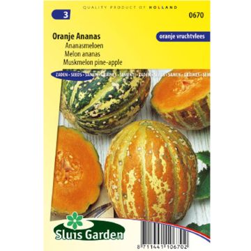 Melão Orange Ananas