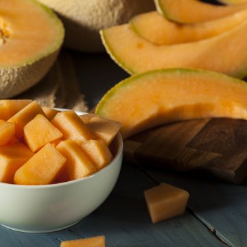 Melão Figaro F1 plantas jovens enxertadas