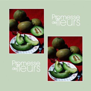 Melão Galia F1 híbrido F1