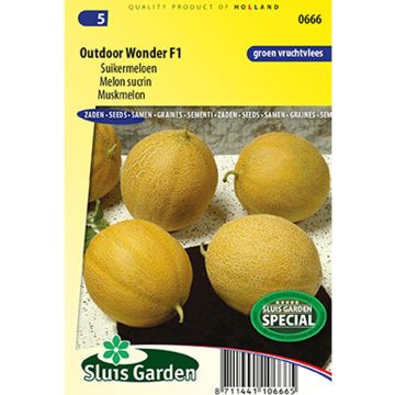 Melão Outdoor Wonder F1