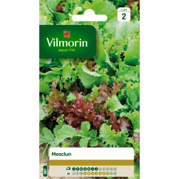 Mistura de alfaces Vilmorin - Mesclun