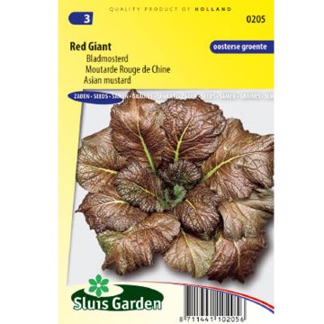 Mostarda-vermelha da China Red Giant