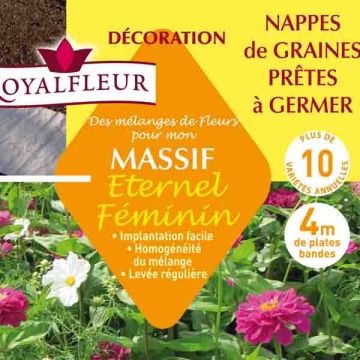 Mistura para maciço Eterno Feminino - Nappe