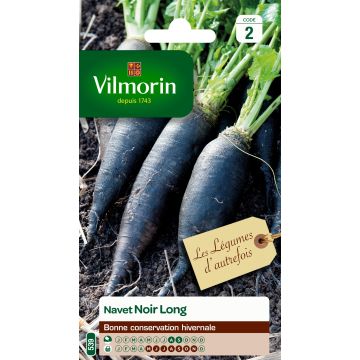 Nabo preto Long Vilmorin