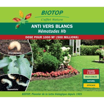 Nemátodos Hb Biotop contra as larvas-brancas Nemátodos Hb Biotop contra as larvas-brancas