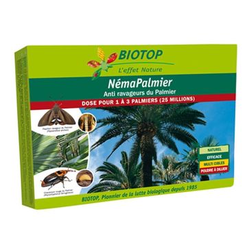 Nemátodos NémaPalmier Biotop contra as pragas do palmeiro Nemátodos NémaPalmier Biotop contra as pragas do palmeiro
