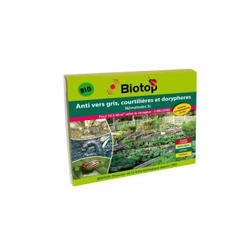 Nemátodos contra lagartas-cinzentas e escaravelhos-da-batata Sc Biotop Nemátodos contra lagartas-cinzentas e escaravelhos-da-batata Sc Biotop