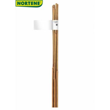 Tutor de bambu natural BAMBOO