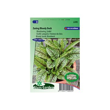 Azeda-vermelha - Rumex sanguineus