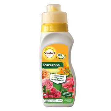 Solabiol contra pulgões na colza — bidão autodosador
