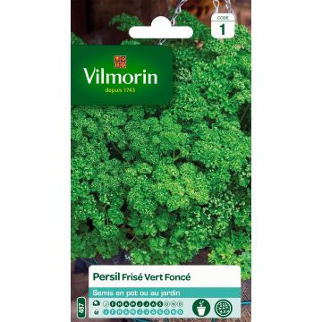 Salsa crespa verde escura Vilmorin