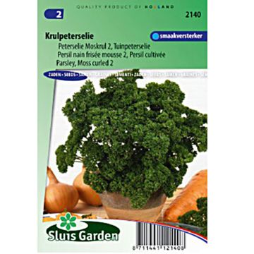 Salsa crespa anã musgosa 2