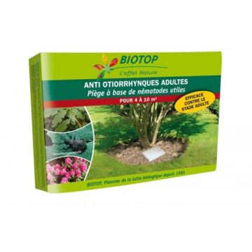 Armadilha Biotop para adultos de <i>Otiorrhynchus</i>, à base de nemátodos Armadilha Biotop para adultos de <i>Otiorrhynchus</i>, à base de nemátodos