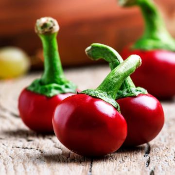 Pimento Red Cherry Small - Ferme de Sainte Marthe Bio