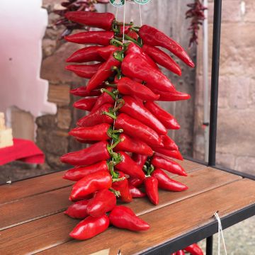 Pimento Rubens Lungo Rosso