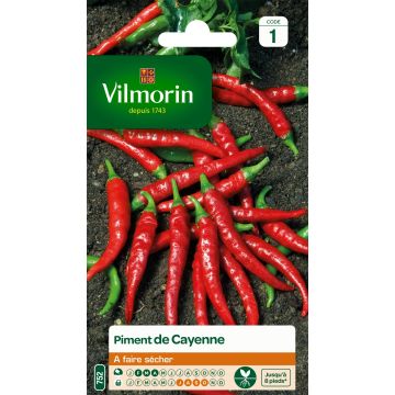 Pimenta-de-caiena Cayenne Vilmorin