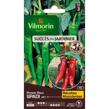 Pimento Doce Spadi F1 Vilmorin