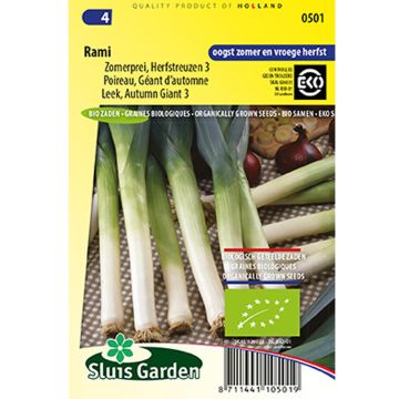 Alho francês gigante de outono 3 Rami Bio