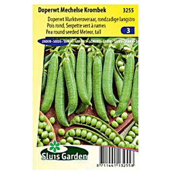 Ervilha Trepadeira Serpette de Malines Verdes (Mechelse Krombek)