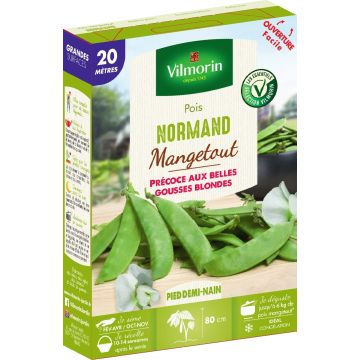 Ervilha semi-trepadeira Normand mangetout Vilmorin