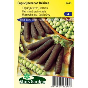 Ervilha anã Désirée com grãos enrugados