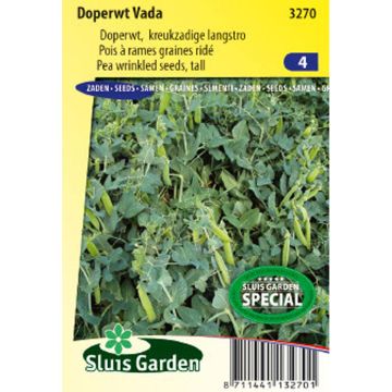 Ervilhas trepadeiras 'Vada' com grãos enrugados