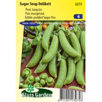 Ervilha Trepadeira Sugar Snap Delikett - Ervilhas Crocantes